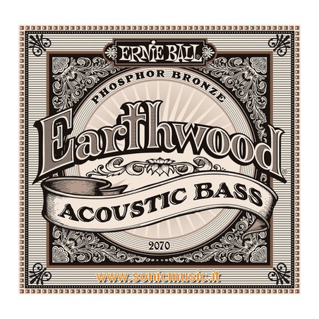 ERNIE BALL 2070 EARTHWOOD ACOUSTIC BASS - SET 4 CORDE PER BASSO ACUSTICO