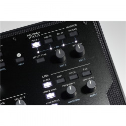 KORG WAVESTATE Sintetizzatore digitale 37 Tasti  full-size